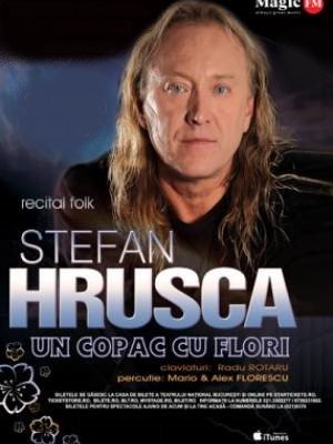 Bilete la  Stefan Hrusca