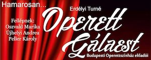Bilete la  Operett Gálaest a Budapesti Operettszínház előadóival