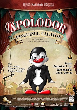 Bilete la  Apolodor, pinguinul calator