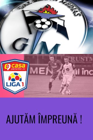 Bilete la  Gaz Metan Medias - FCSB - CASA Liga 1