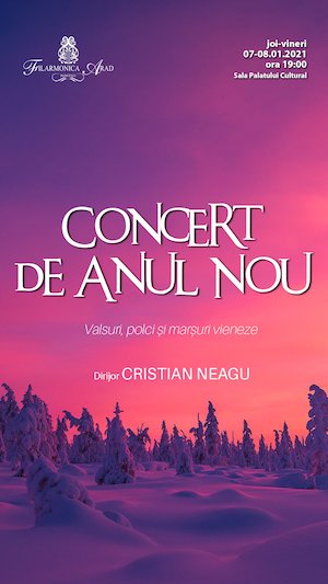 Bilete la Concert de Anul Nou