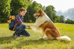 Bilete la  Lassie hazater (Lassie: Eine Abenteurliche Reise)