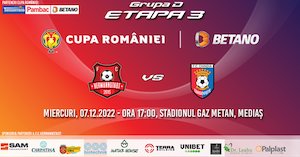 Bilete la  AFC Hermannstadt - Chindia Targoviste - CUPA ROMANIEI BETANO