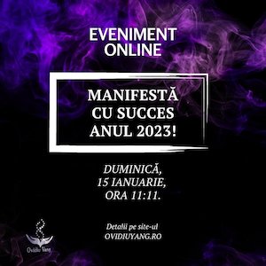 Bilete la Manifesta cu succes