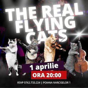 The Real Flying Cats