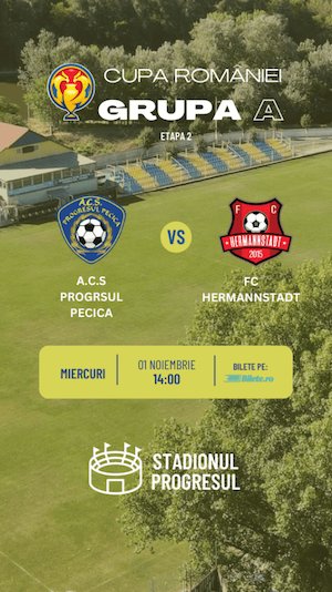 Bilete la  ACS Progresul Pecica - FC Hermannstadt - Cupa Romaniei
