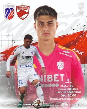 Bilete la  FC Botosani - DINAMO Bucuresti