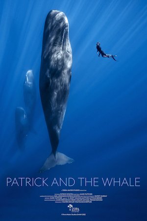Bilete la  Patrick and the Whale