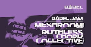 Bilete la  Babel Jam Double: Concert Meshroom and Ruthless Chord Collective