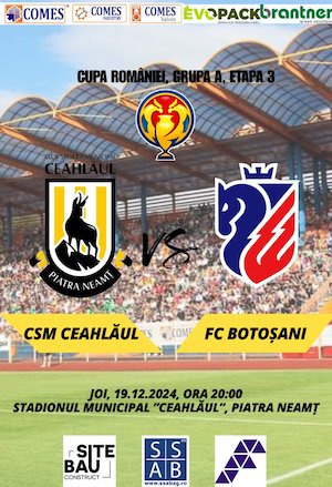 Bilete la CSM Ceahlaul Piatra Neamt - FC Botosani