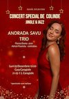 bilete Andrada Savu trio - Jingle & Jazz