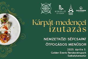 Bilete la KÁRPÁT-MEDENCEI ÍZUTAZÁS