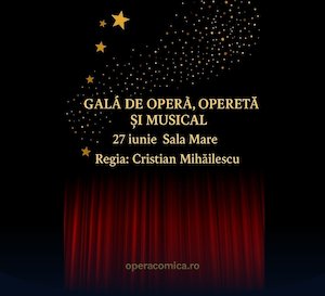 Gala de Opera si Opereta
