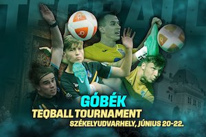 Bilete la GÓBÉK TEQBALL TOURNAMENT - FINALS