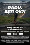 bilete Radu, ești OK?!