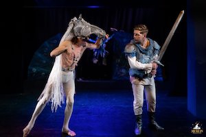 bilete FESTIVALUL INTERNAȚIONAL DE ANIMAȚIE „SUB BAGHETA LUI MERLIN” ediția a X - a