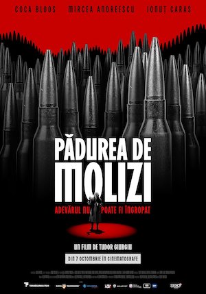 Bilete la Pădurea de molizi