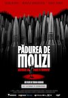 bilete Pădurea de molizi