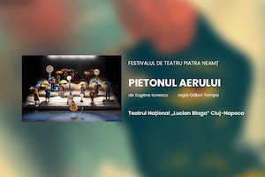 Bilete la PIETONUL AERULUI - Teatrul Tineretului, Piatra Neamt