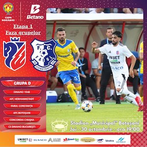 Bilete la FC Botosani - Farul Constanta