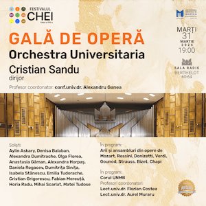 Bilete la Gala de Opera - Festivalul Chei