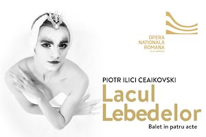 Bilete la Lacul Lebedelor