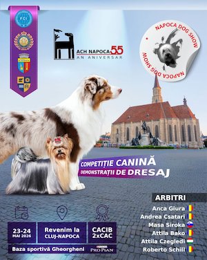 Napoca Dog Show
