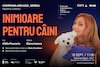 bilete INIMIOARE PENTRU CÂINI