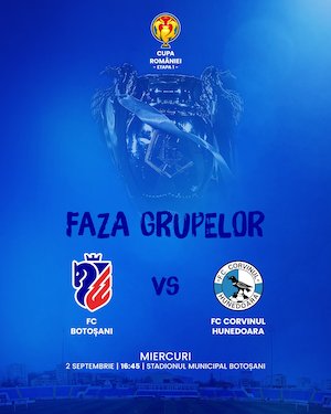 Bilete la FC Botosani - Corvinul Hunedoara