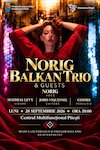 bilete Norig Balkan Tiro