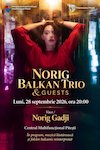 bilete Norig Balkan Tiro